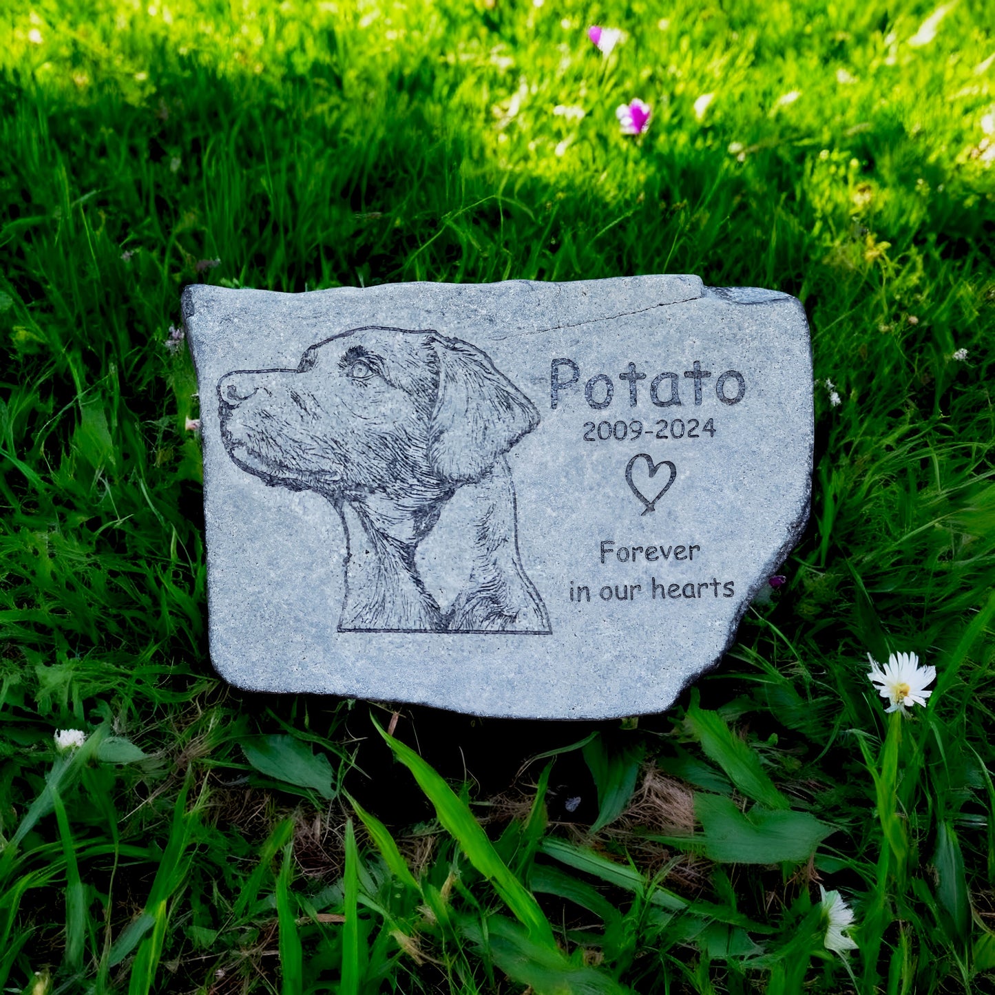 Life-Like Dog Memorial Stone — Custom Engraved From Your Photo