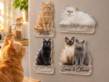 Custom Photo Magnet – Personalized Acrylic Fridge Magnet